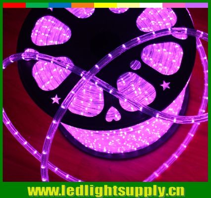 12/24v trwałe światła 1/2''' 2 drutu LED zewnętrzne wiązki świąteczne flex światła