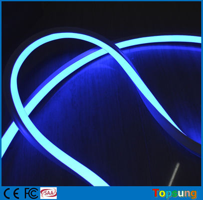 Całkowity sprzedaż kwadratowy 120V błękitny 16*16m cewki neonowe LED na zewnątrz