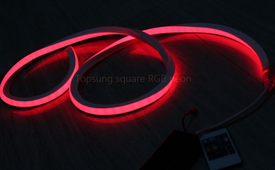 gorąca sprzedaż kwadratowy czerwony 24v 16*16m LED neon flex światło do dekoracji