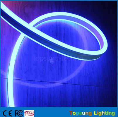 12V podwójne niebieskie światło LED neonowe elastyczne dla pomieszczeń zewnętrznych z nowym projektem