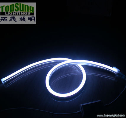 mini rozmiar RGB LED neon flex 10*18mm pełny kolor zmieniający światło neonowe 110V SMD5050