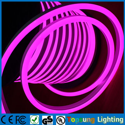 SMD5050 pełnokolorowy RGB 11x18mm 110V CE ROHS zatwierdzenie LED neon flex z kontrolerem DMX