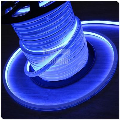 Nowy projekt niebieski kwadratowy 16*16m 220v elastyczny kwadratowy LED neon flex light