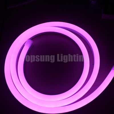 24V cyfrowe światła rgb LED neon flex 5050 SPI
