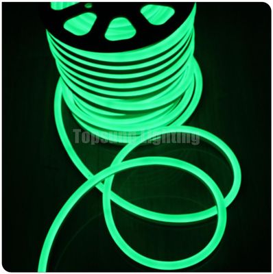 SMD 2835 światło neonowe 12V liniowe elastyczne zewnętrzne wodoodporne światło neonowe zielone