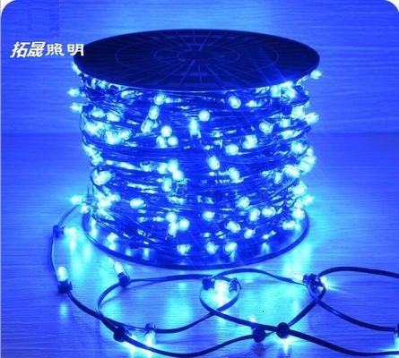 Wytwórca choinki IP65 LED String Lights 12V LED Clip Light dla Australii