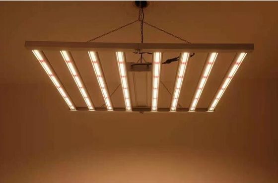 Całkowite spektrum LED w pomieszczeniach oświetlenie roślinne oświetlenie roślinne 600w